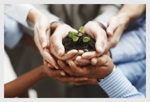 Strategic-Partners